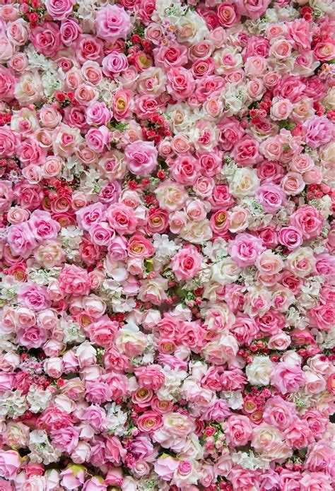 photography backdrops flowers|flower pictures images for background.